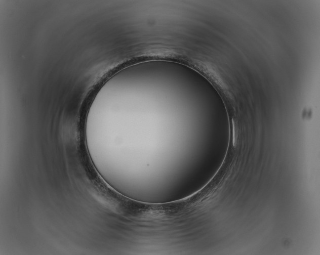 X0000090750252200708031614