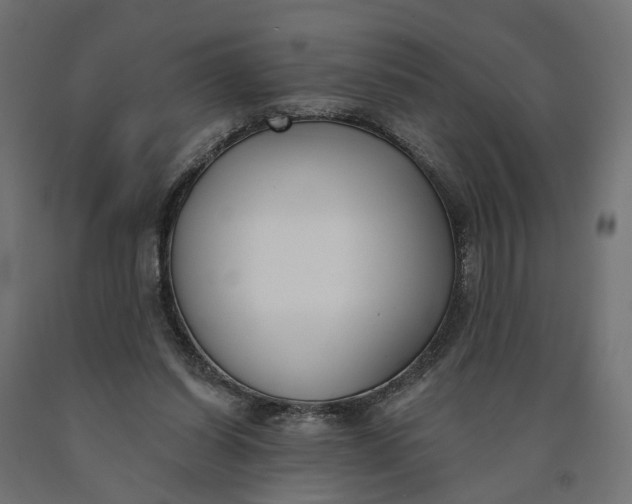 X0000090750254200708031614