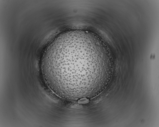 X0000090750258200708031614