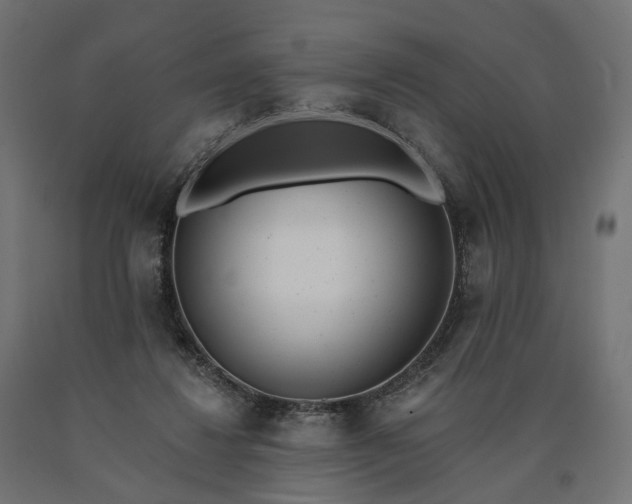 X0000090750260200708031614