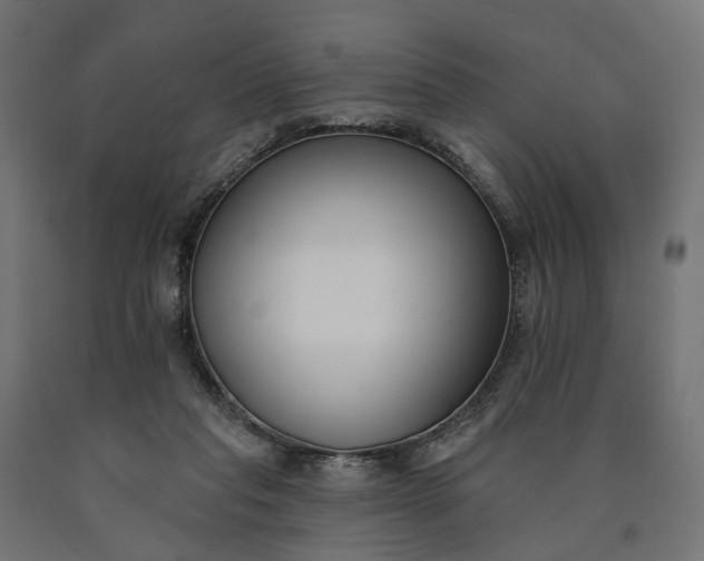 X0000090750261200708031614