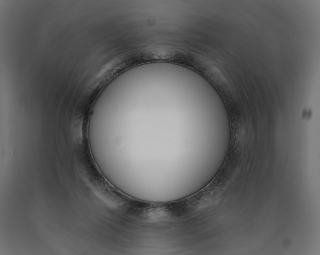 X0000090750262200708031614