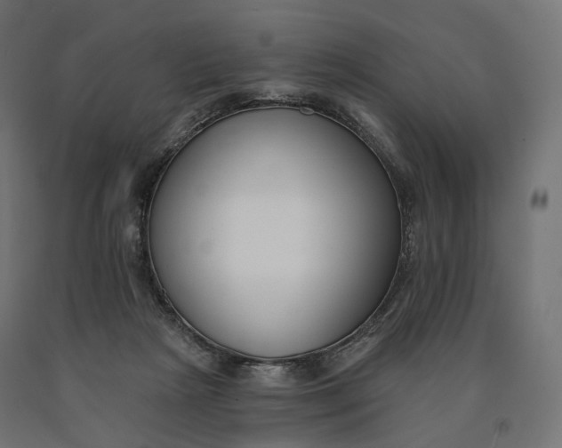 X0000090750265200708031614