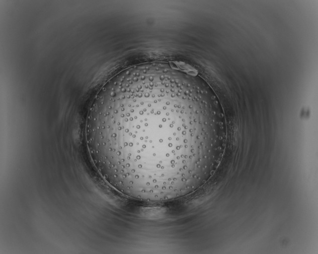 X0000090750266200708031614