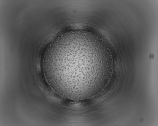 X0000090750267200708031614