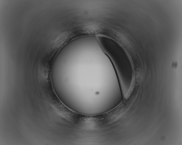 X0000090750268200708031614