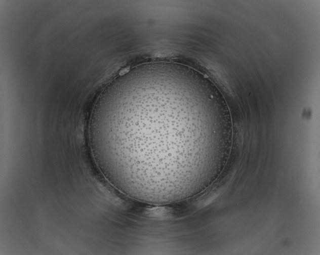 X0000090750269200708031614