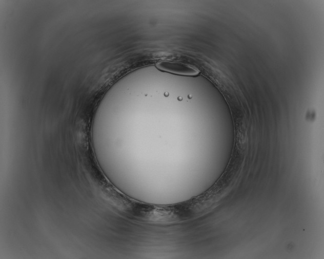 X0000090750270200708031614