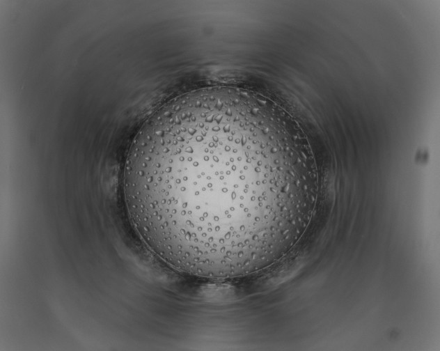 X0000090750271200708031614