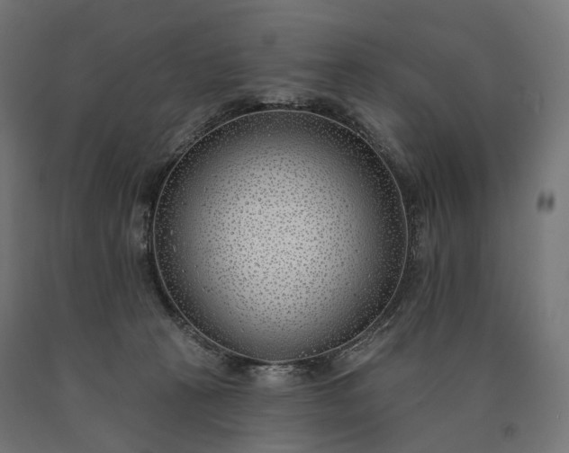 X0000090750273200708031615