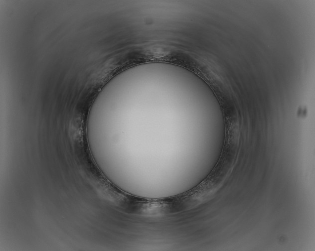 X0000090750274200708031615