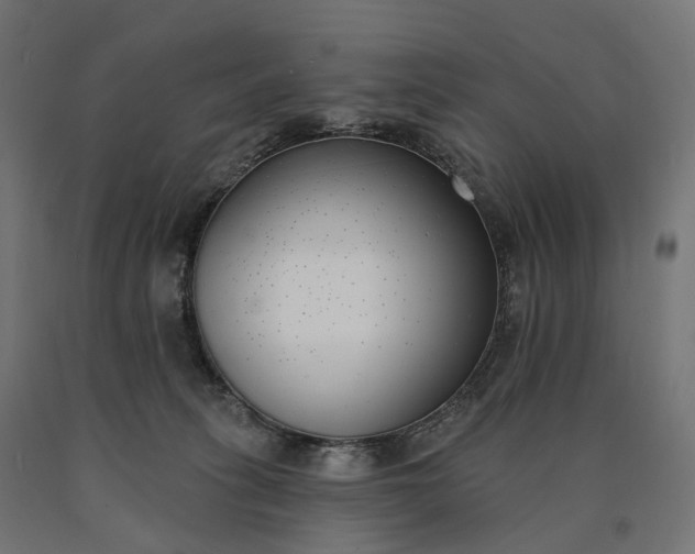 X0000090750275200708031615