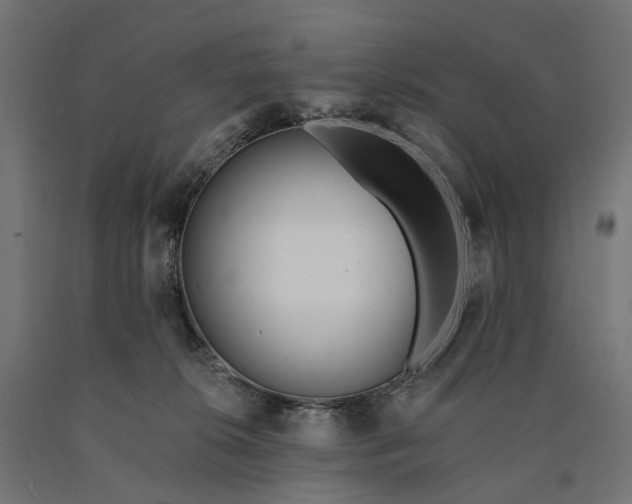 X0000090750276200708031615