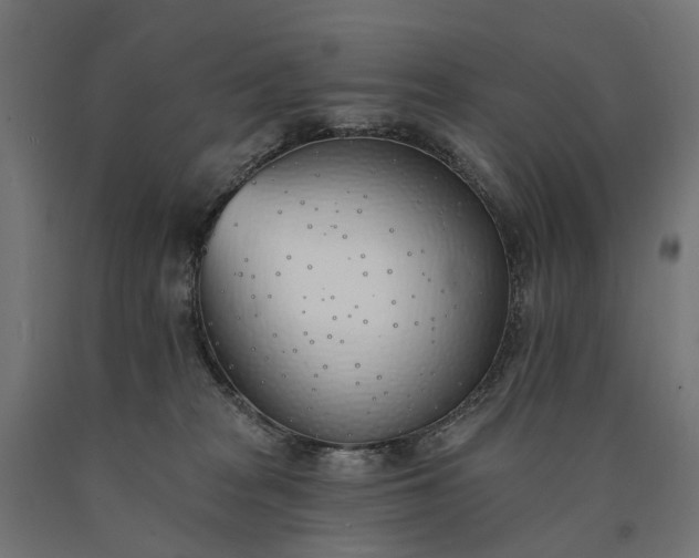 X0000090750277200708031615