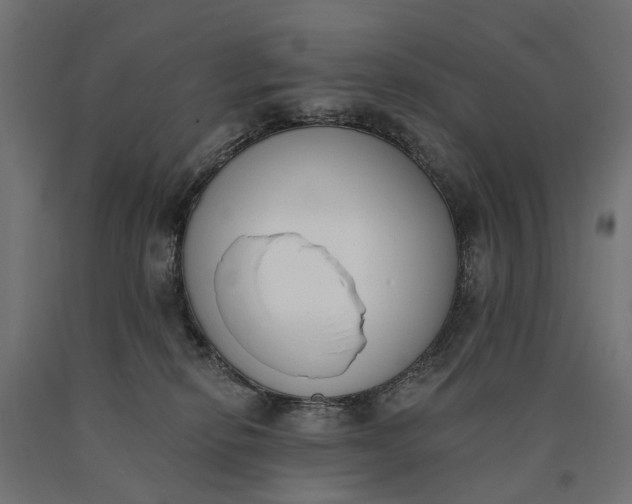 X0000090750278200708031615