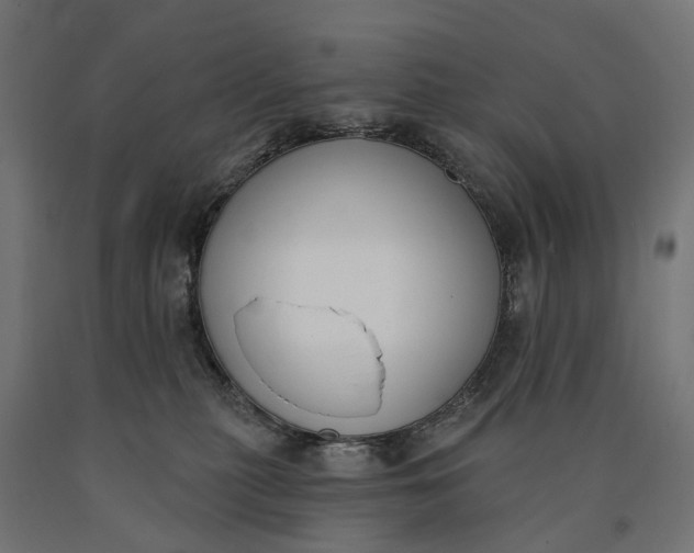 X0000090750279200708031615