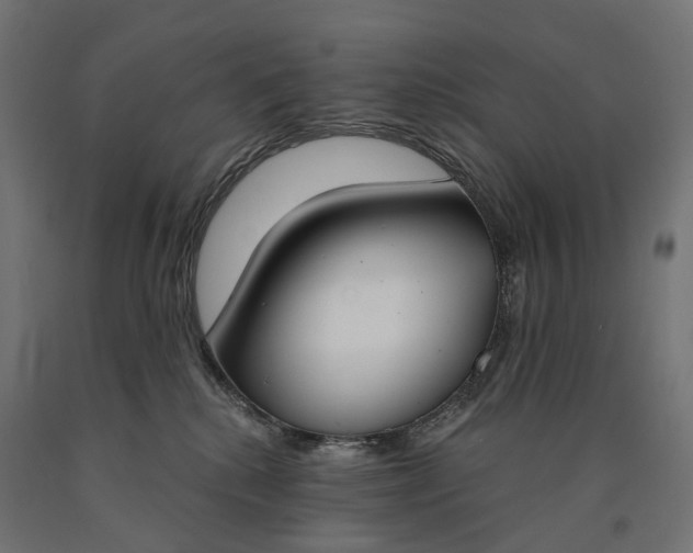 X0000090750280200708031615