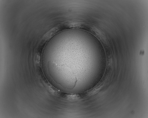 X0000090750281200708031615