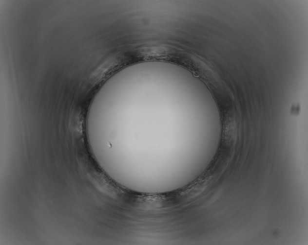 X0000090750282200708031615