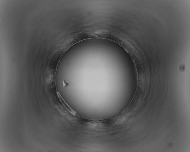 X0000090750284200708031615