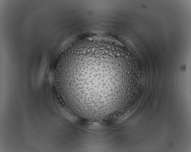 X0000090750285200708031615