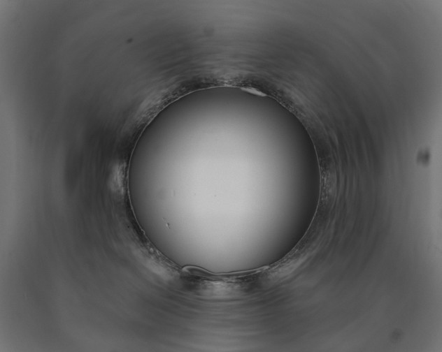 X0000090750286200708031615