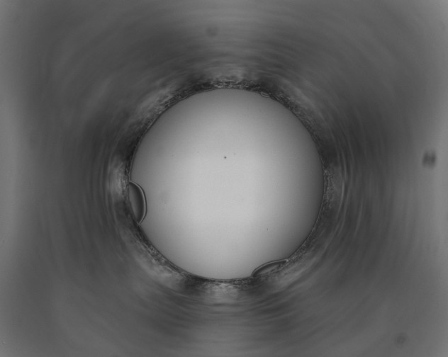 X0000090750287200708031615