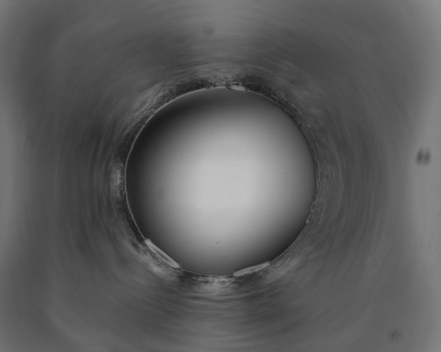 X0000090750288200708031615