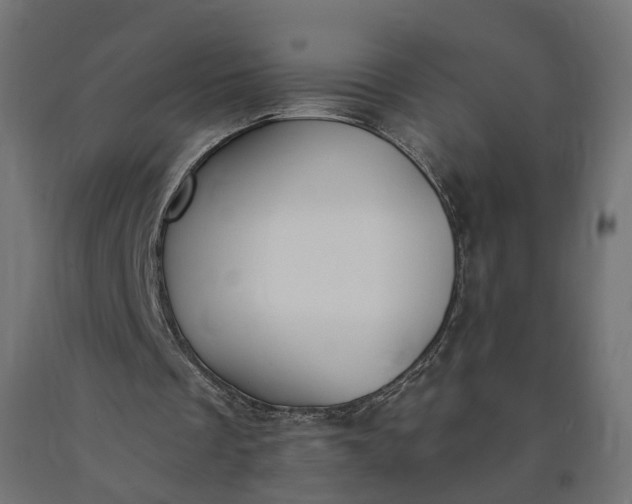 X0000090750289200708031614