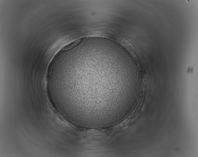 X0000090750290200708031614