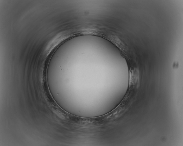 X0000090750291200708031614