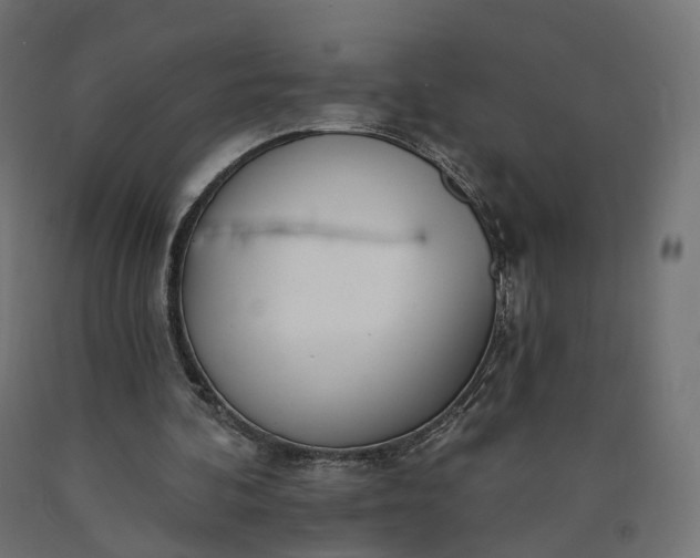 X0000090750292200708031614