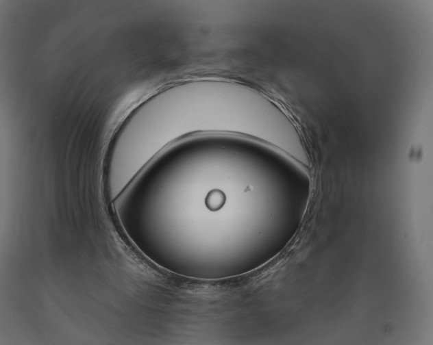 X0000090750293200708031614