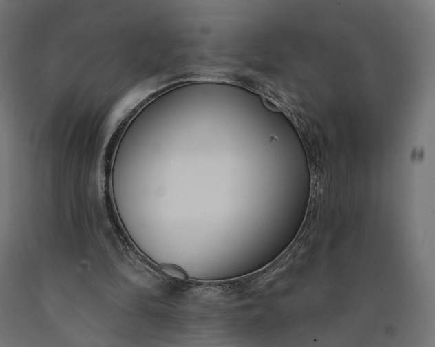 X0000090750294200708031614