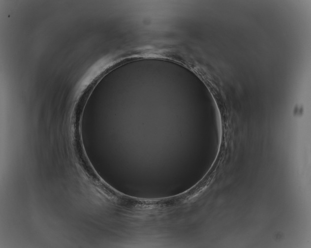 X0000090750295200708031614