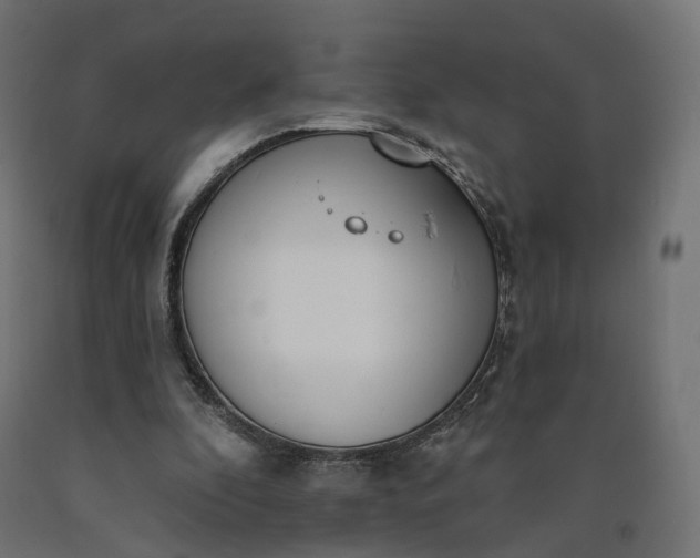 X0000090750296200708031614