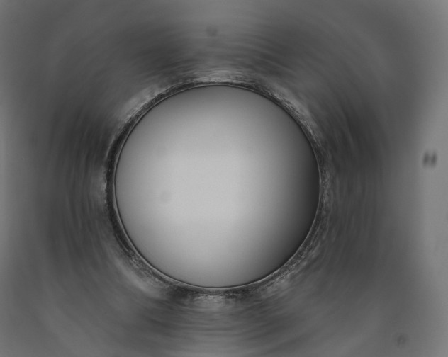 X0000090750298200708031614