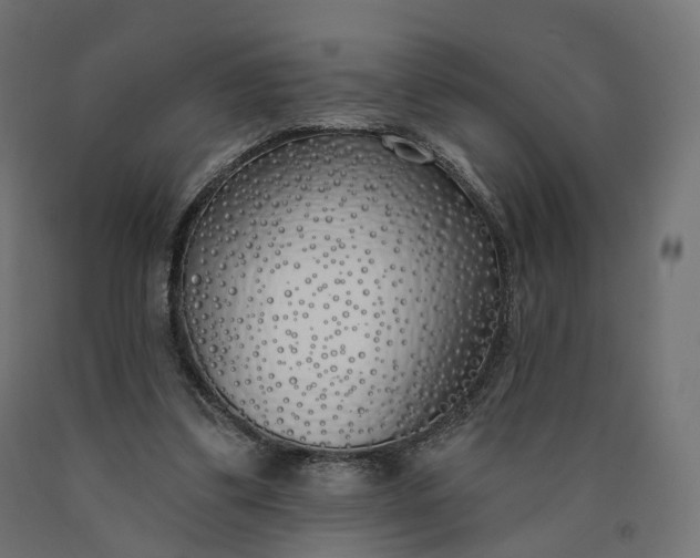 X0000090750299200708031614