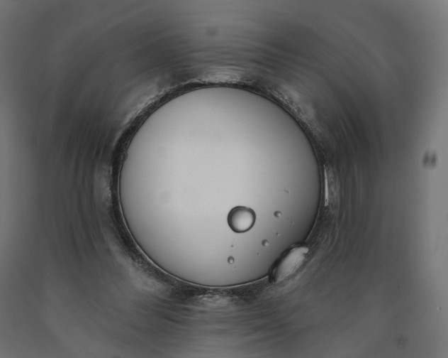 X0000090750300200708031614