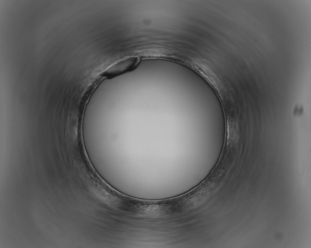 X0000090750301200708031614