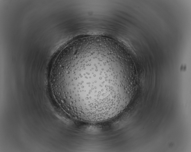 X0000090750303200708031614