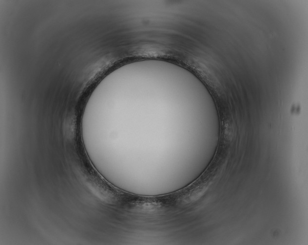 X0000090750304200708031614