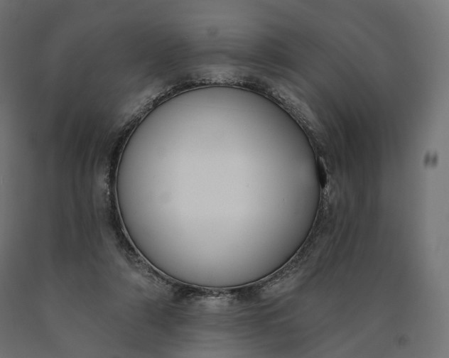 X0000090750306200708031614