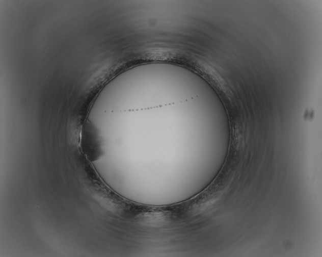 X0000090750307200708031614