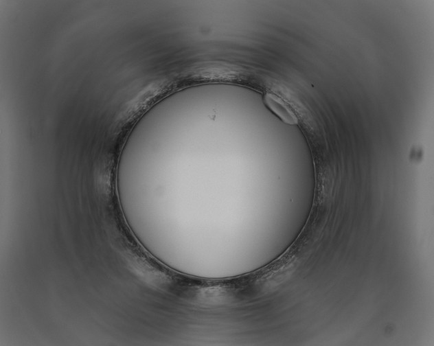 X0000090750309200708031614