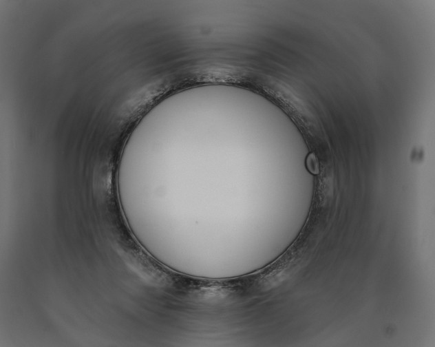 X0000090750310200708031614