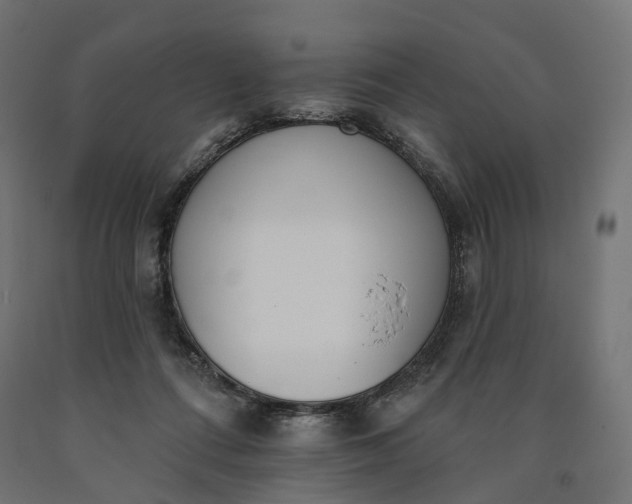 X0000090750312200708031614