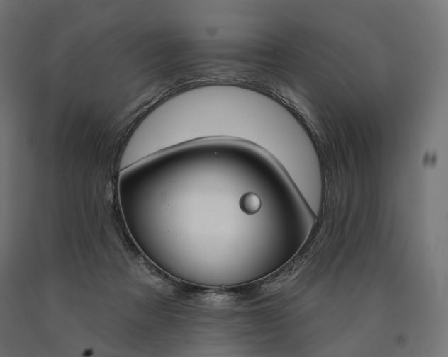 X0000090750313200708031614