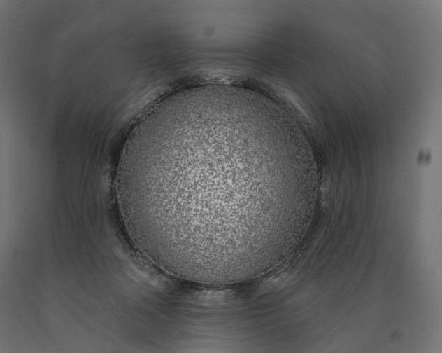 X0000090750314200708031614