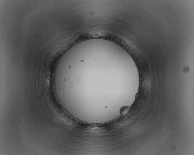 X0000090750315200708031614